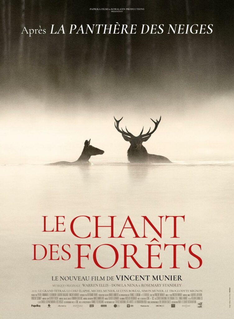 LE CHANT DES FORETS
