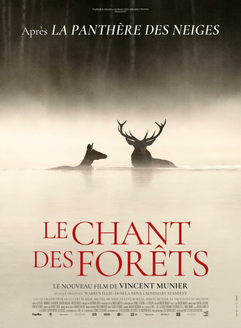 LE CHANT DES FORETS