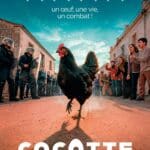 COCOTTE