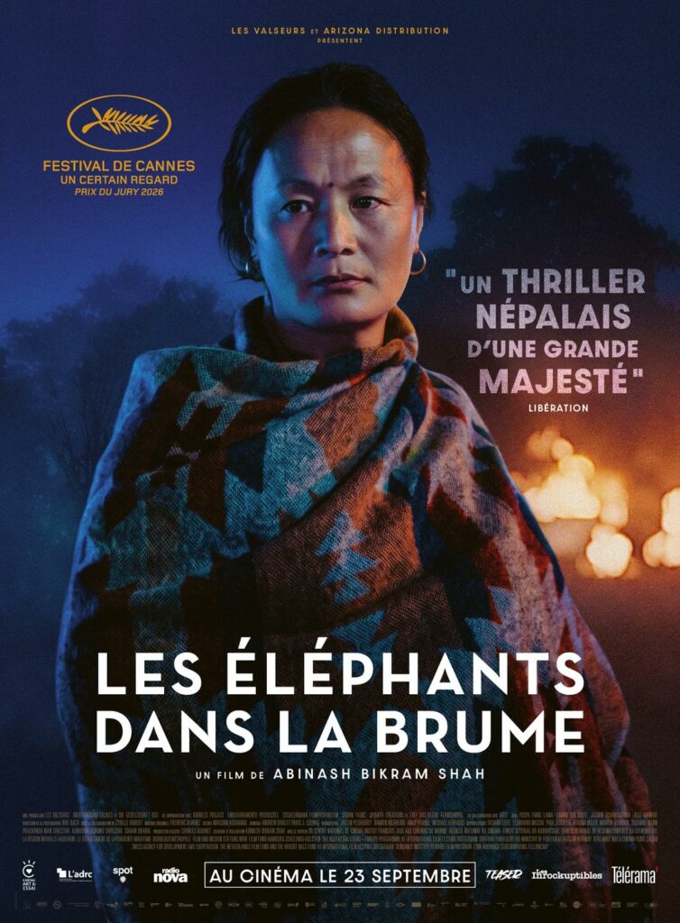 LES ELEPHANTS DANS LA BRUME
